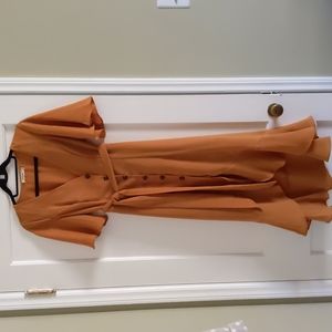 Anthropologie Button Up Dress